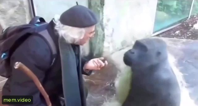 Кадр на 0:02