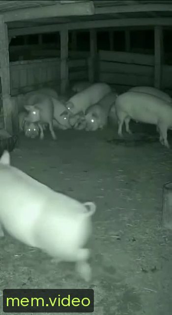 Кадр на 0:05