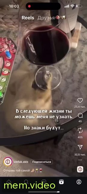 Кадр на 0:00