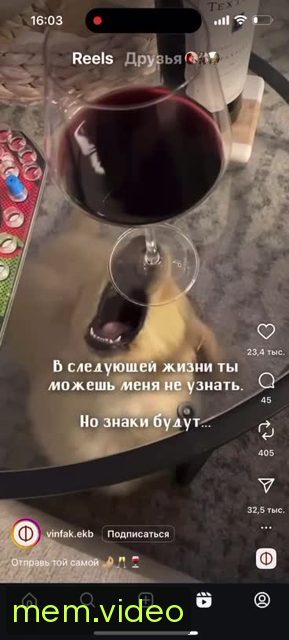 Кадр на 0:00