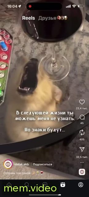 Кадр на 0:02