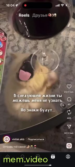 Кадр на 0:03