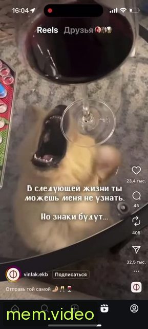 Кадр на 0:04