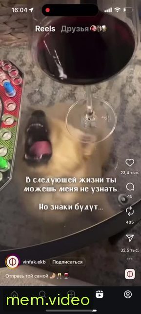 Кадр на 0:04