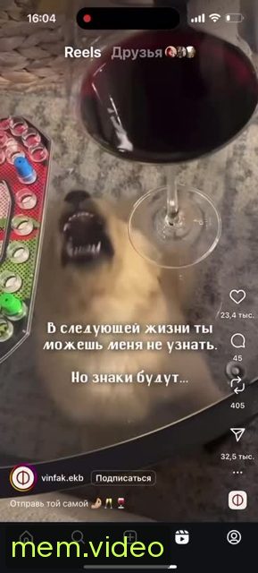 Кадр на 0:05