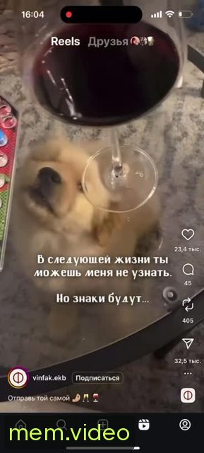 Кадр на 0:06