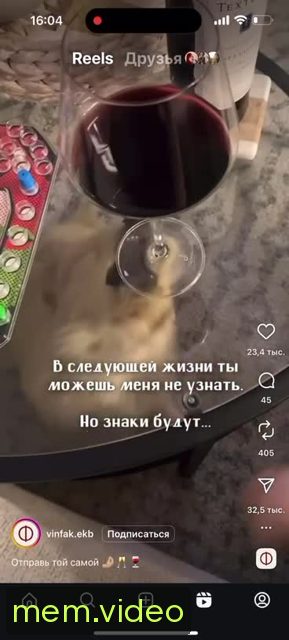 Кадр на 0:07