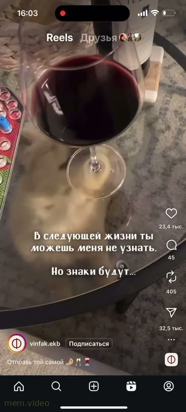 Кадр: Собака лижет стекло за бокалом вина