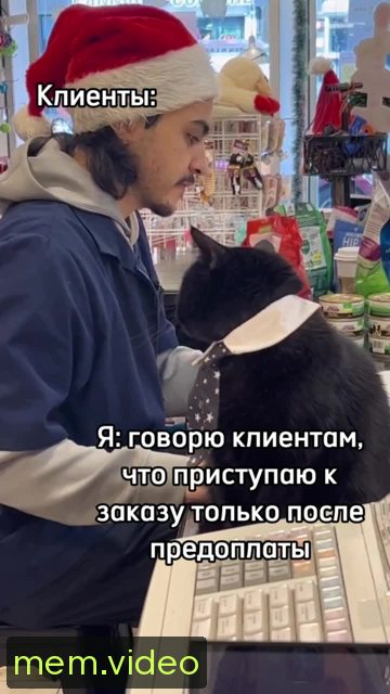 Кадр на 0:04