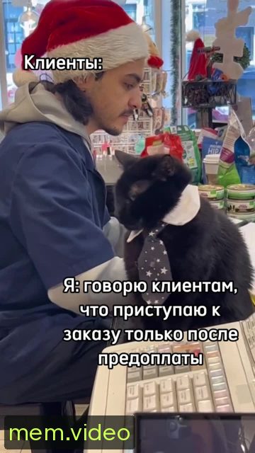Кадр на 0:06