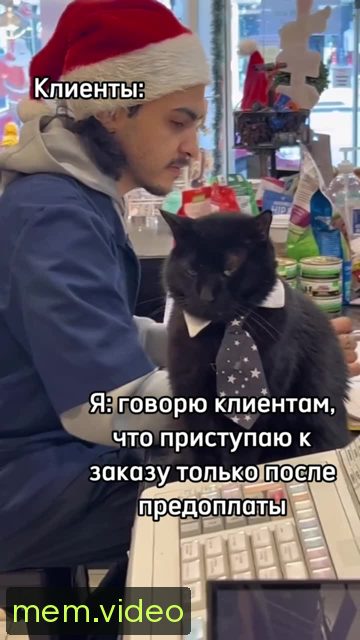 Кадр на 0:06