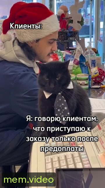 Кадр на 0:08