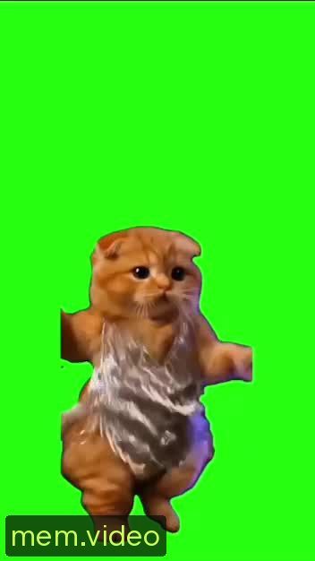 Кадр на 0:01