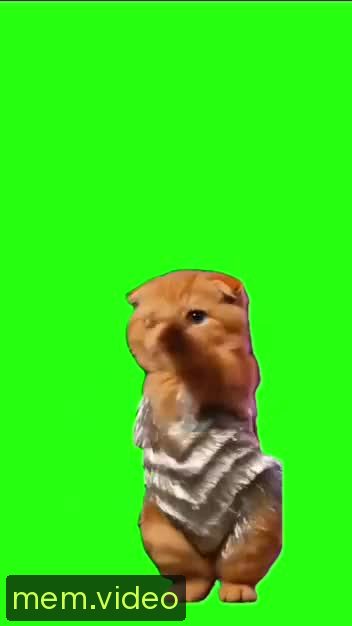 Кадр на 0:03