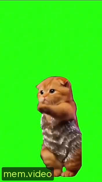 Кадр на 0:04