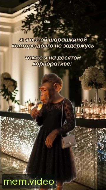 Кадр на 0:00