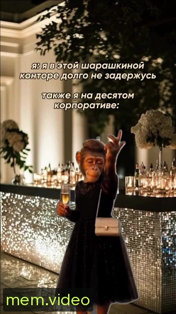 Кадр на 0:08