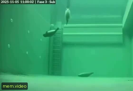 Кадр на 0:00