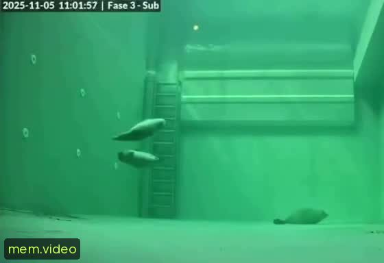 Кадр на 0:04