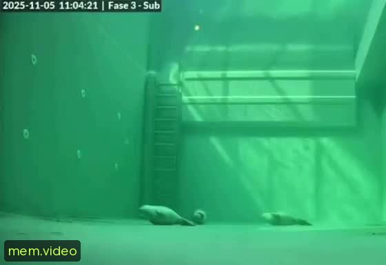 Кадр на 0:09