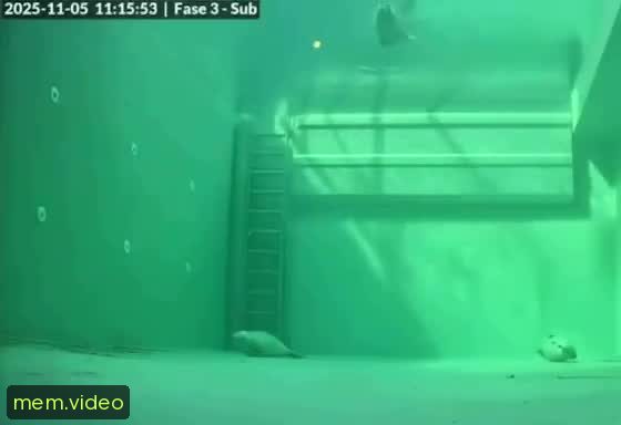 Кадр на 0:33