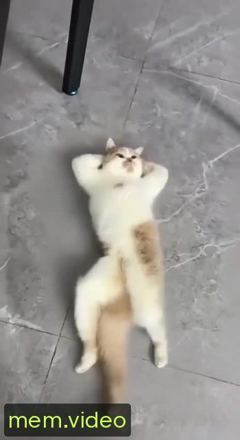 Кадр на 0:01