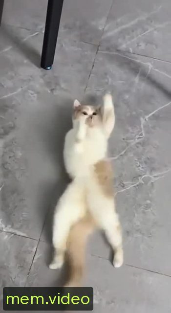 Кадр на 0:02
