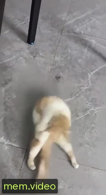 Кадр на 0:04
