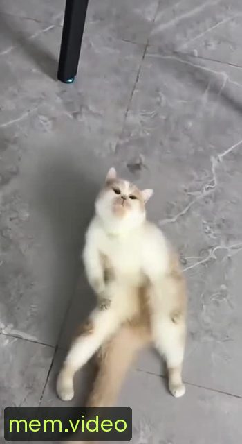 Кадр на 0:05