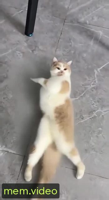 Кадр на 0:05
