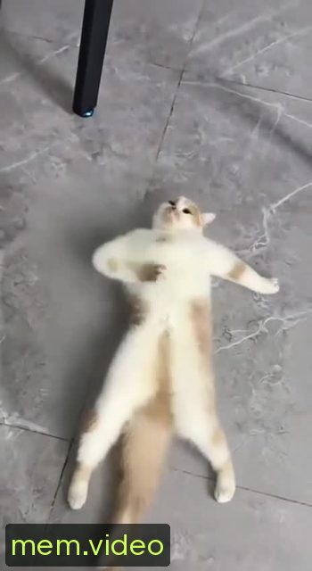 Кадр на 0:06