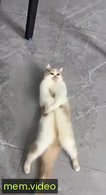 Кадр на 0:07