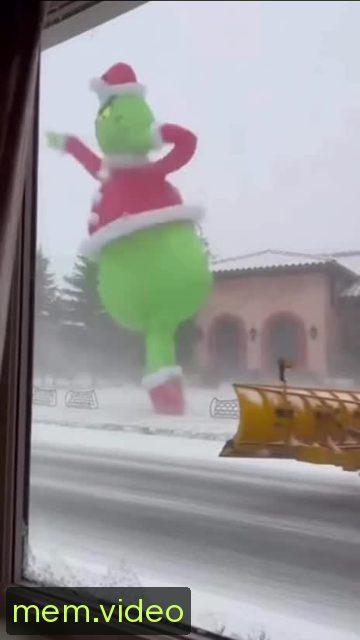 Кадр на 0:00