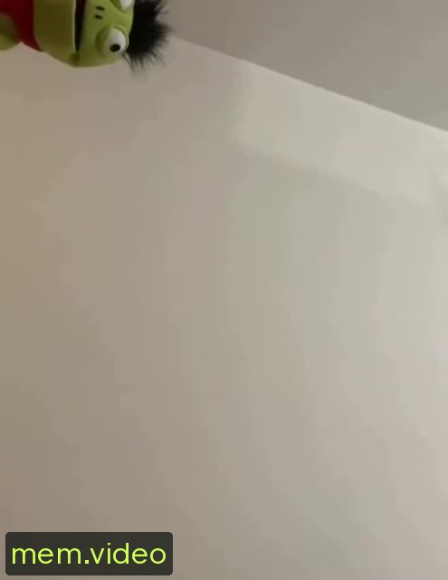 Кадр на 0:05