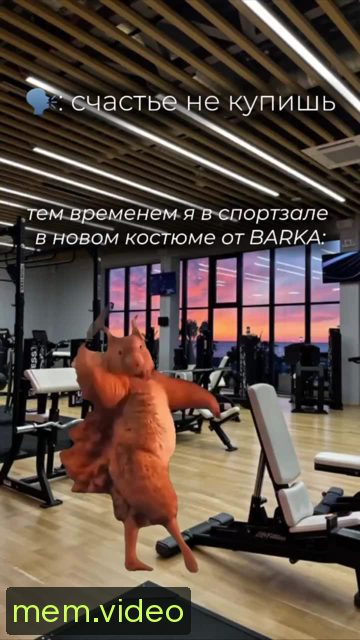 Кадр на 0:00