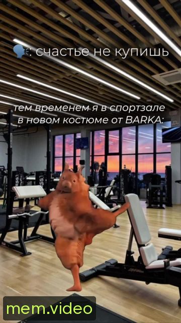 Кадр на 0:02