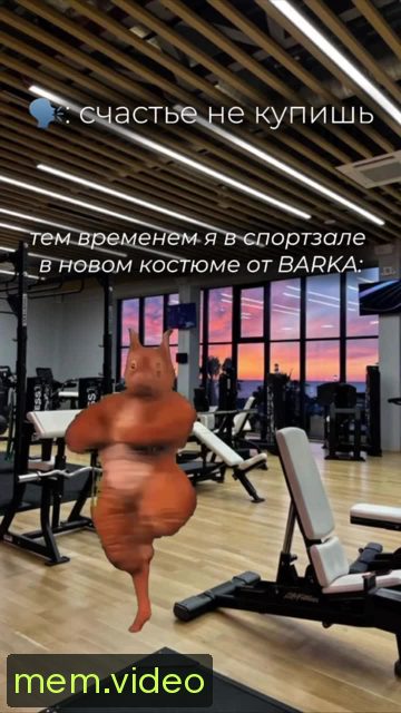 Кадр на 0:04
