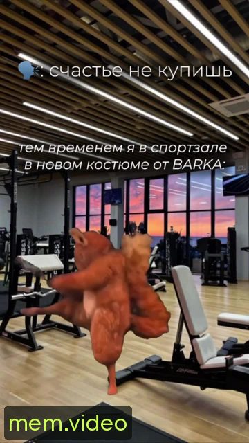 Кадр на 0:05