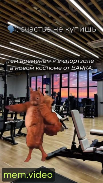 Кадр на 0:06