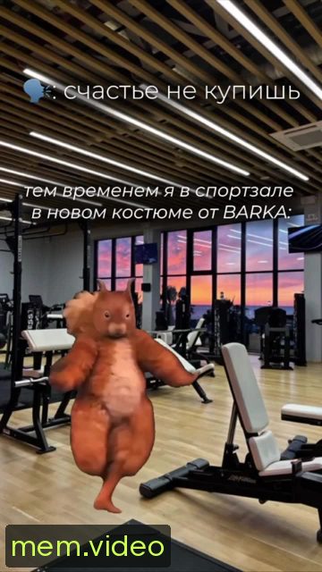 Кадр на 0:08