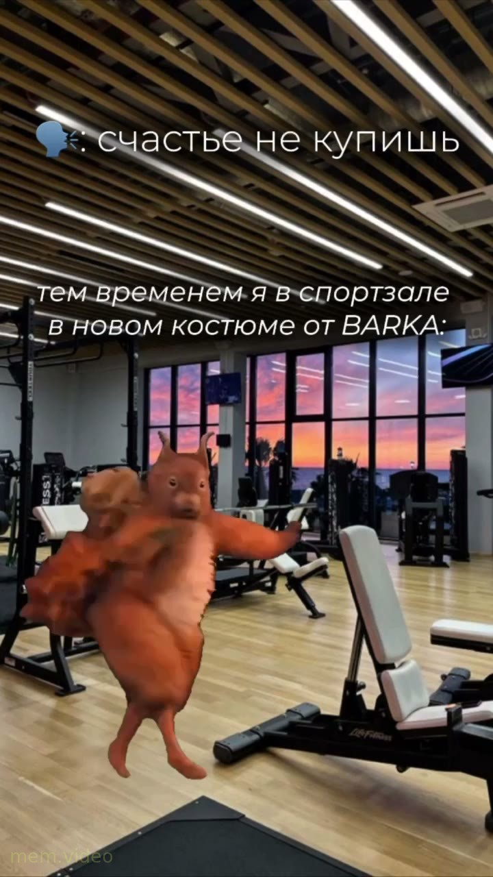 Кадр: Анимированная белка танцует в спортзале