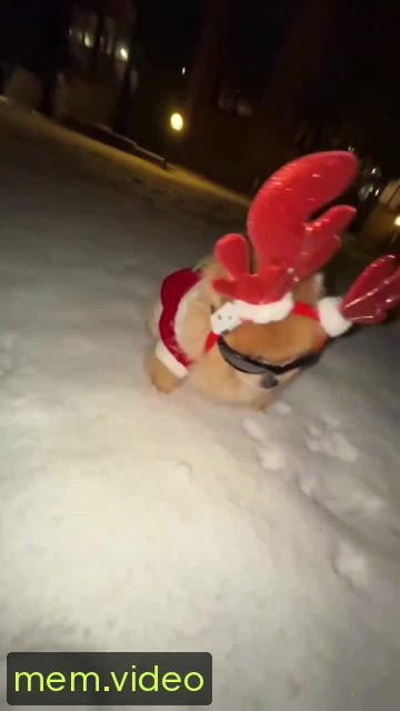Кадр на 0:05