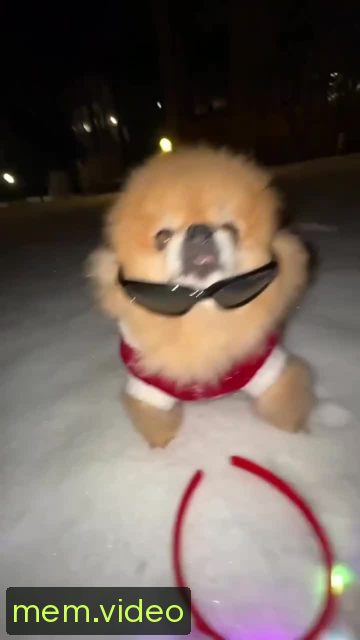 Кадр на 0:07