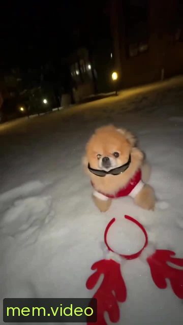 Кадр на 0:08