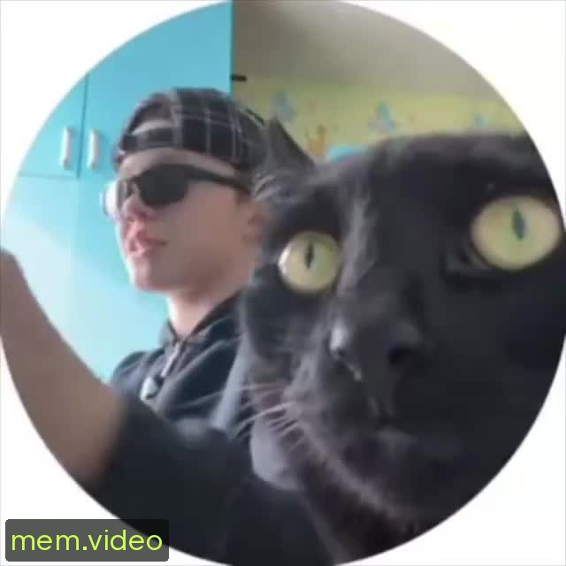 Кадр на 0:00