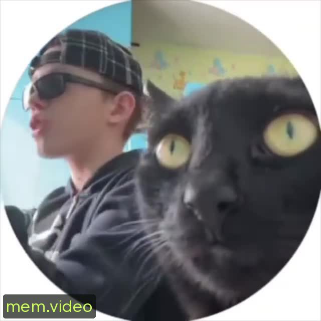 Кадр на 0:06