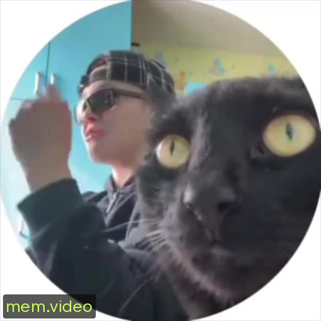 Кадр на 0:11