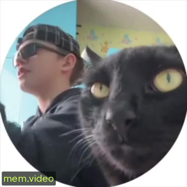 Кадр на 0:15