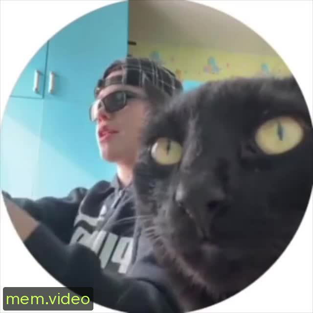 Кадр на 0:21