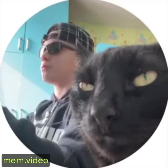Кадр на 0:38